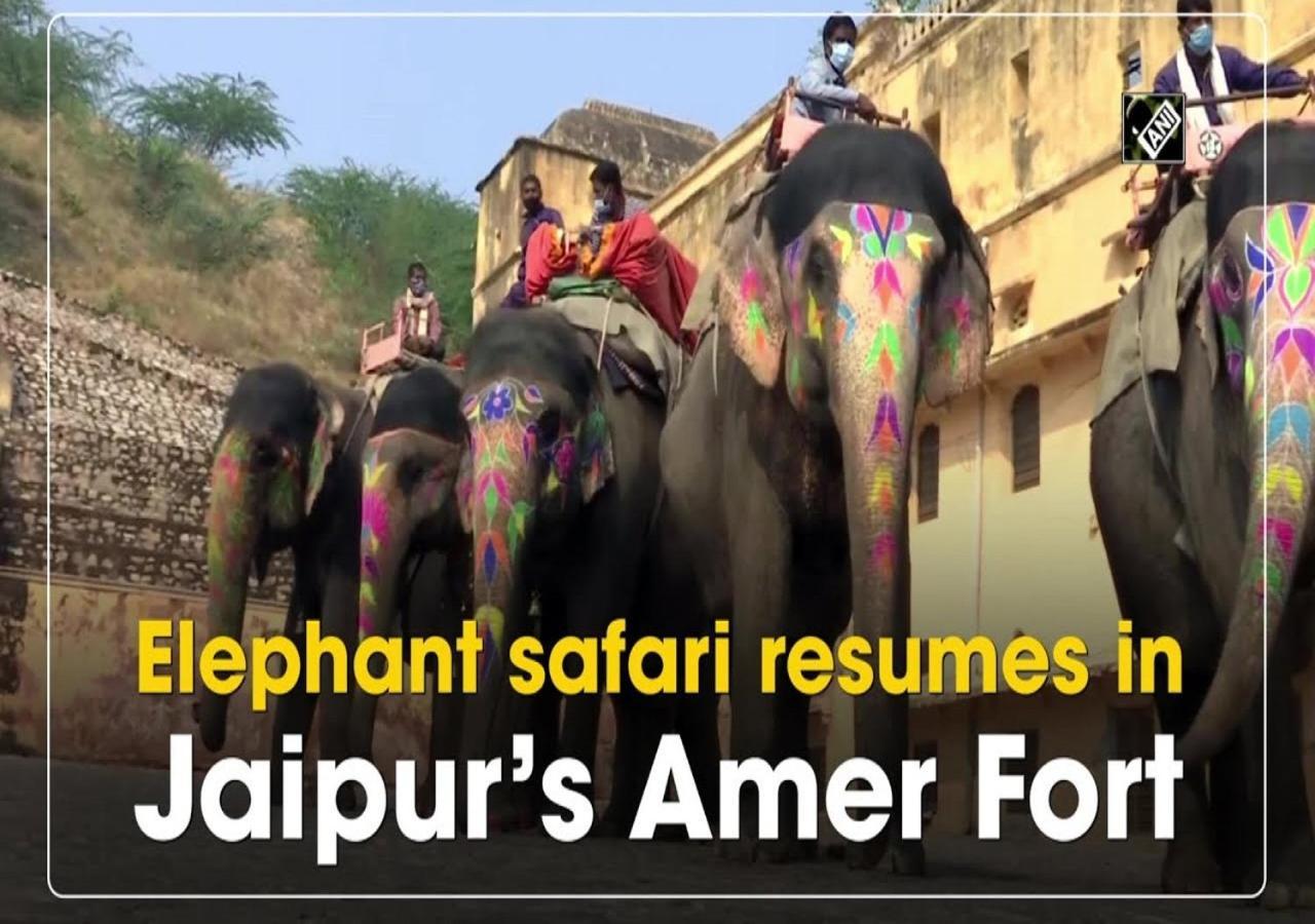 Mother Homestay Jaipur Luaran gambar