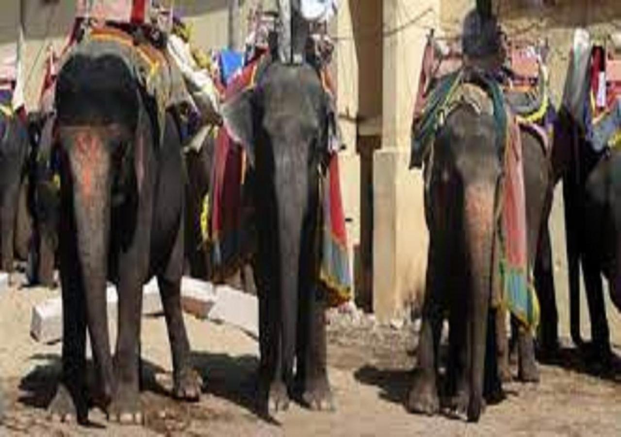 Mother Homestay Jaipur Luaran gambar